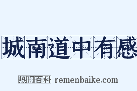城南道中有感是什么意思的图片